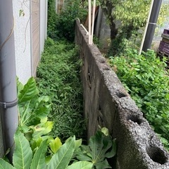 草刈りもやってます。