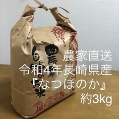 農家直送 【令和4年】 長崎県産『なつほのか』 約3kg