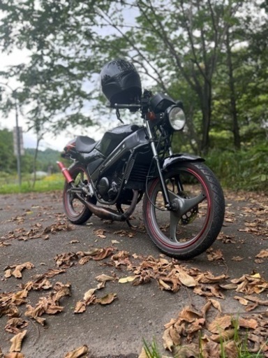wolf50 原付