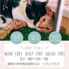 くるくるいちご犬猫譲渡会9/17