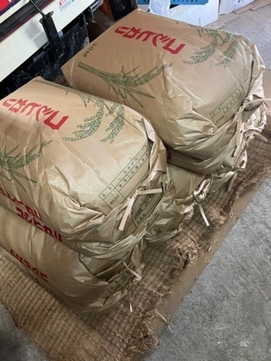 コシヒカリ　新米