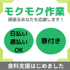 【工場】大人気の軽作業/家具家電付きワンルーム寮がずっと無料/即...