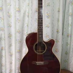 ギター Takamine TDP500SP-WR