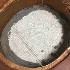 ???FI22/67 昭和レトロ 天然木 切り株 火鉢 幅47cm 高さ26cm