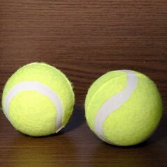 【取引完了】硬式テニスボール　2個