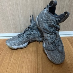 NIKE レブロン15EP  バスケットボールシューズ