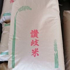 新米　香川県産コシヒカリ　玄米30kg
