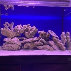 MARFIED 90cm水槽セット