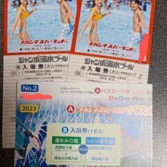★長島ジャンボ海水プールチケット大人2枚★　オマケ付