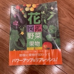 花図鑑　野菜+果物