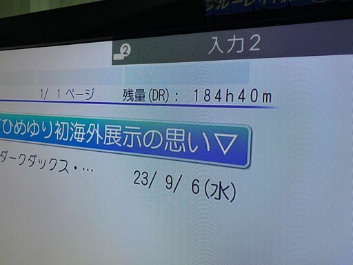 訳あり格安　DBR-Z420　HDD:2TB　「地デジ約254時間録画」