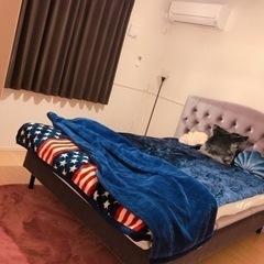 セール中につき、通常特価32,978円より13,000円引きの19,978円! SEALY 
