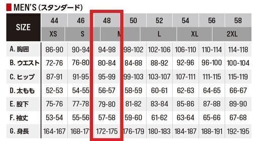 新品】アルパインスターズ(Alpinestars) GP PRO V2 サイズ48【MFJ公認