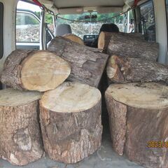 秋の薪活、今年の冬から使える原木欲しい方（チェンソーある方、