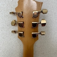 FERNANDES MG-80X？ 145s風モッキンバード