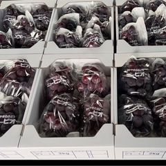 🍇ピオーネ2kg【4箱限定】