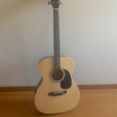 ZENN ZS18 アコースティックギター