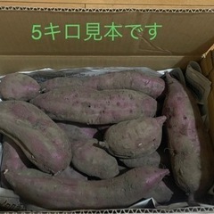 9/15以降お渡し　第2弾🍠土つき　さつまいも紅はるか🍠予約は5...