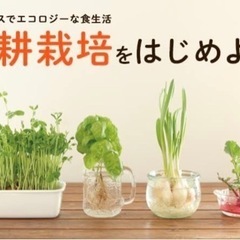 詰め放題🌱水耕栽培や水槽のフィルター等に使うスポンジ