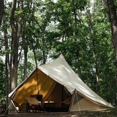 フォレスター　美品✨サバティカル　モーニンググローリーTC モーニンググローリー シンセティック - 地球の、道具。サバティカル