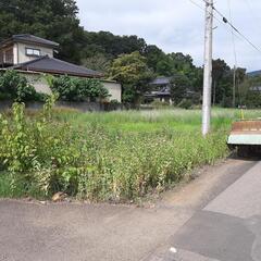 草刈り平米100円(100平米)～70円