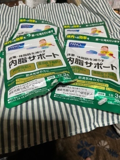内脂サポート未開封