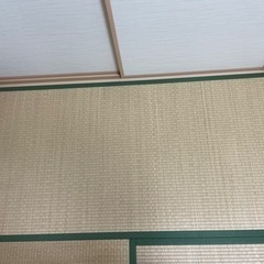 限定値下げ 【美品】古畳5枚セット
