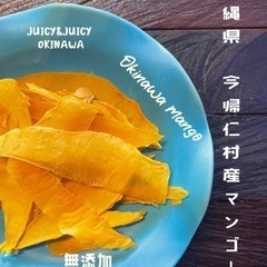沖縄県産ドライフルーツ【無添加】マンゴー