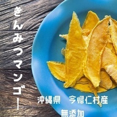 沖縄県産ドライフルーツ【無添加】きんみつマンゴー