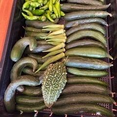 訳あり野菜