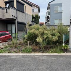 浦和区の草取りをお願いします。
