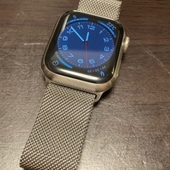 【美品・チタニウム】Apple watch 7 41mm GPS...