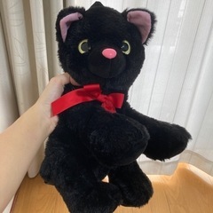 【引き渡し先決まりました】黒猫のリュック