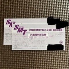 全国のMOVIX、SMT直営映画館　チケット2枚