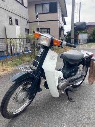 カブ角目