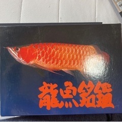 龍魚名鑑　アロワナ　図鑑