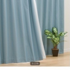 遮光1級カーテン 100×135（ターコイズブルー）
