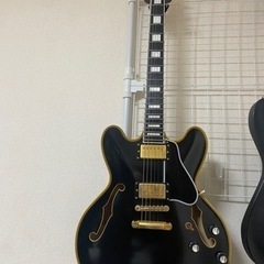 エドワーズ　セミアコ