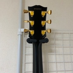 エドワーズ　セミアコ