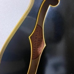 エドワーズ　セミアコ