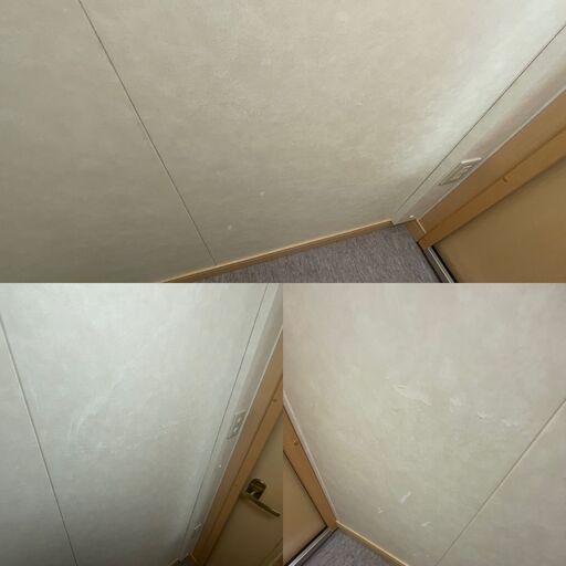 カワイナサール0.8畳(-30db) 設置費込みの中古防音室  