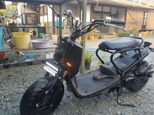 まだあります HONDA ズーマー 整備済 配送可