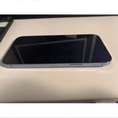 【美品】iPhone 13 Pro Max 256GB 盗難紛失プラン付