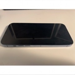 【美品】iPhone 13 Pro Max 256GB 盗難紛失プラン付