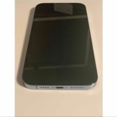 【美品】iPhone 13 Pro Max 256GB 盗難紛失プラン付