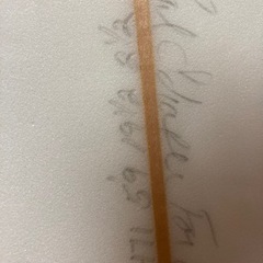 Schaper  サーフボード