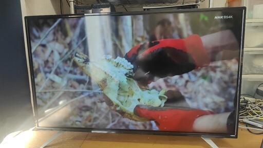 名古屋市名東区　4K内蔵液晶テレビ　OL40XD100\nブランド：DOSHISHA オリオン電気（ドウシシャ）