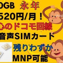 120GB 3520円/月 格安SIM 音声SIM 安心のdocomo回線 MNP可能 期間限定 キャンペーン中のみお申込み可能 格安シム SIMカード SIMフリー