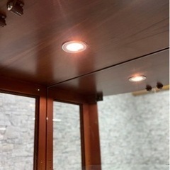 INT220  西洋風 キュリオケース 飾り棚 コレクションケース ガラスケース 