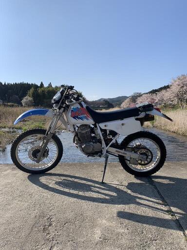 決まりました！ホンダ MD22